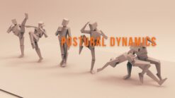 Postural Dynamics workshop