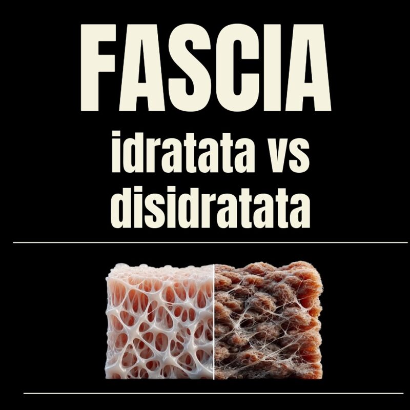 Allenamento Miofasciale