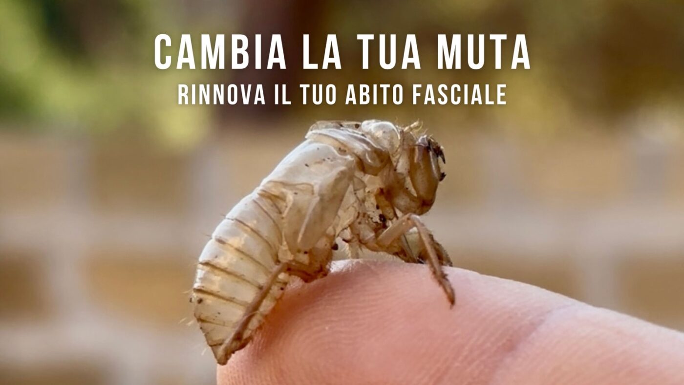 Rinnova il tuo abito fasciale