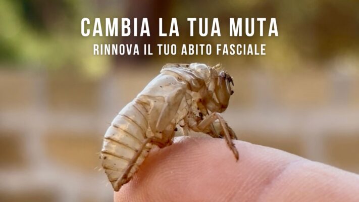 Rinnova il tuo abito fasciale