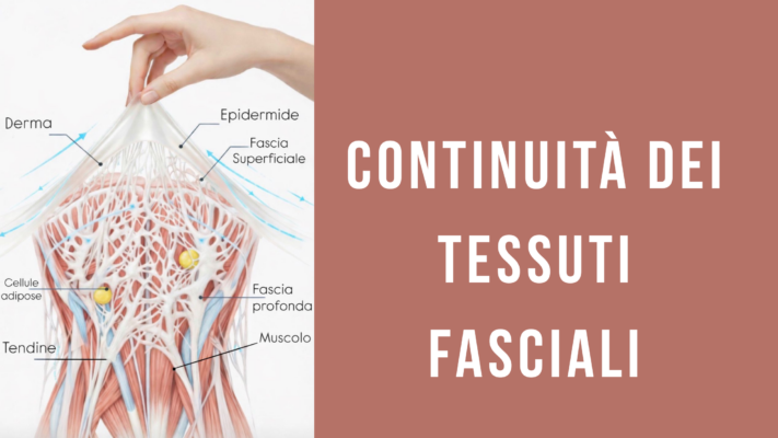 Tessuti fasciali