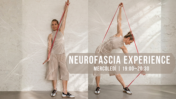 NeuroFascia Experience euroFascia Experience