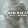 Neurofascia Experience