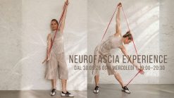 Neuro Fascia Experience