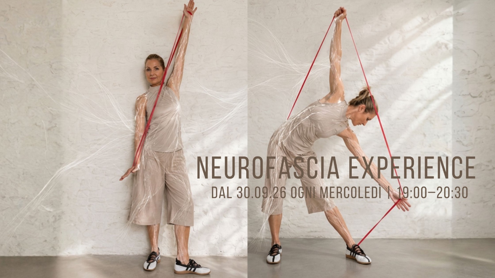 Neuro Fascia Experience Neuro Fascia Experience